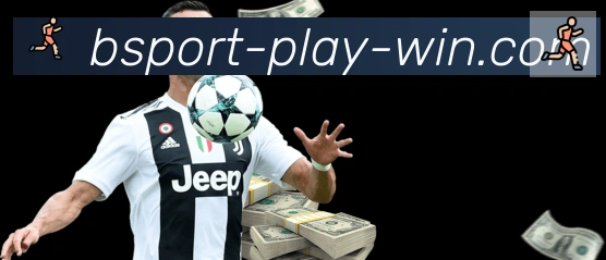 Bsports官网荣誉