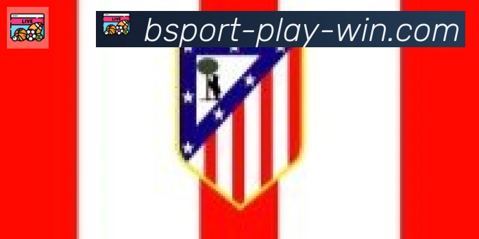 Bsports官网合作伙伴